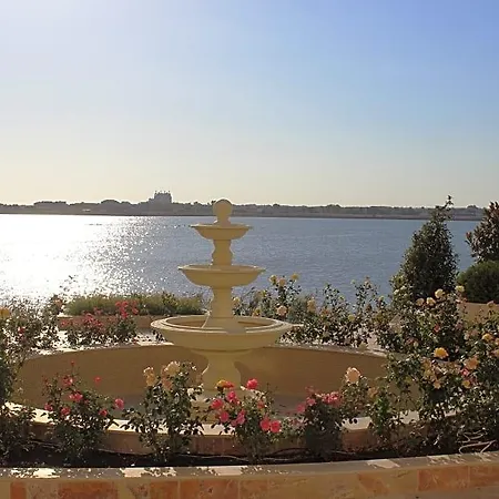 Gardenia Palace 3* 포마리